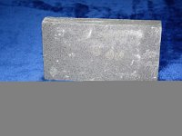 IMG 2271 (3)
